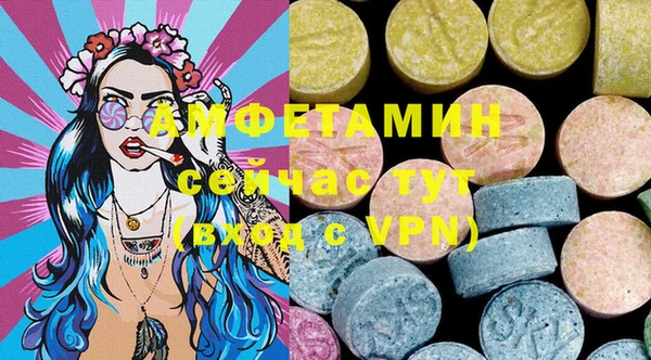 молекула духа Алексеевка