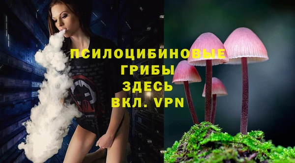 spice Алексин