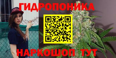 PSILOCYBIN Ливны