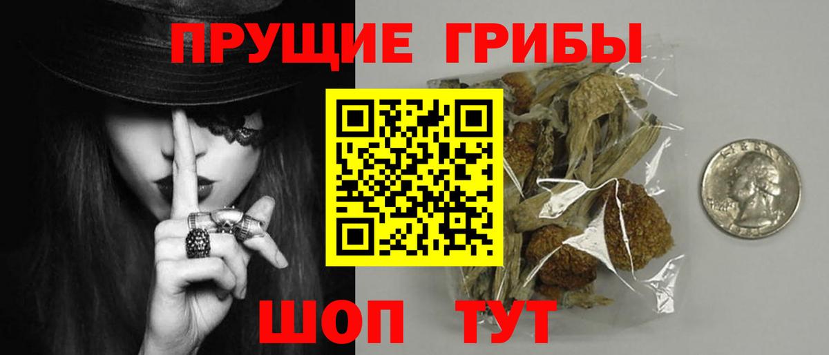 Ухта  Псилоцибиновые грибы Psilocybe  Вход с VPN 